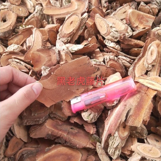 大新县 藤（饭团藤）、根（黑老虎根）：微苦，温。止痛，散瘀消肿，