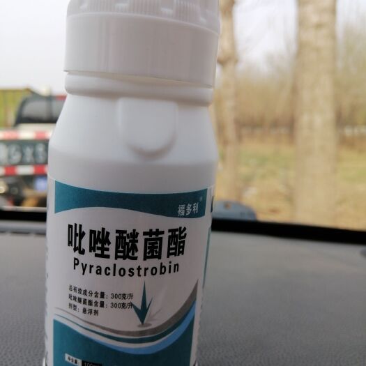 寿光市 吡唑醚菌酯