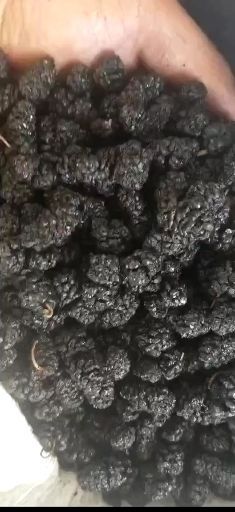 盐边县四川产地桑葚干大货供应，专业代办代发