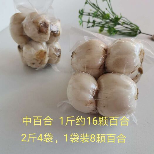 兰州 兰州百合 一袋8颗，一斤16颗 包邮