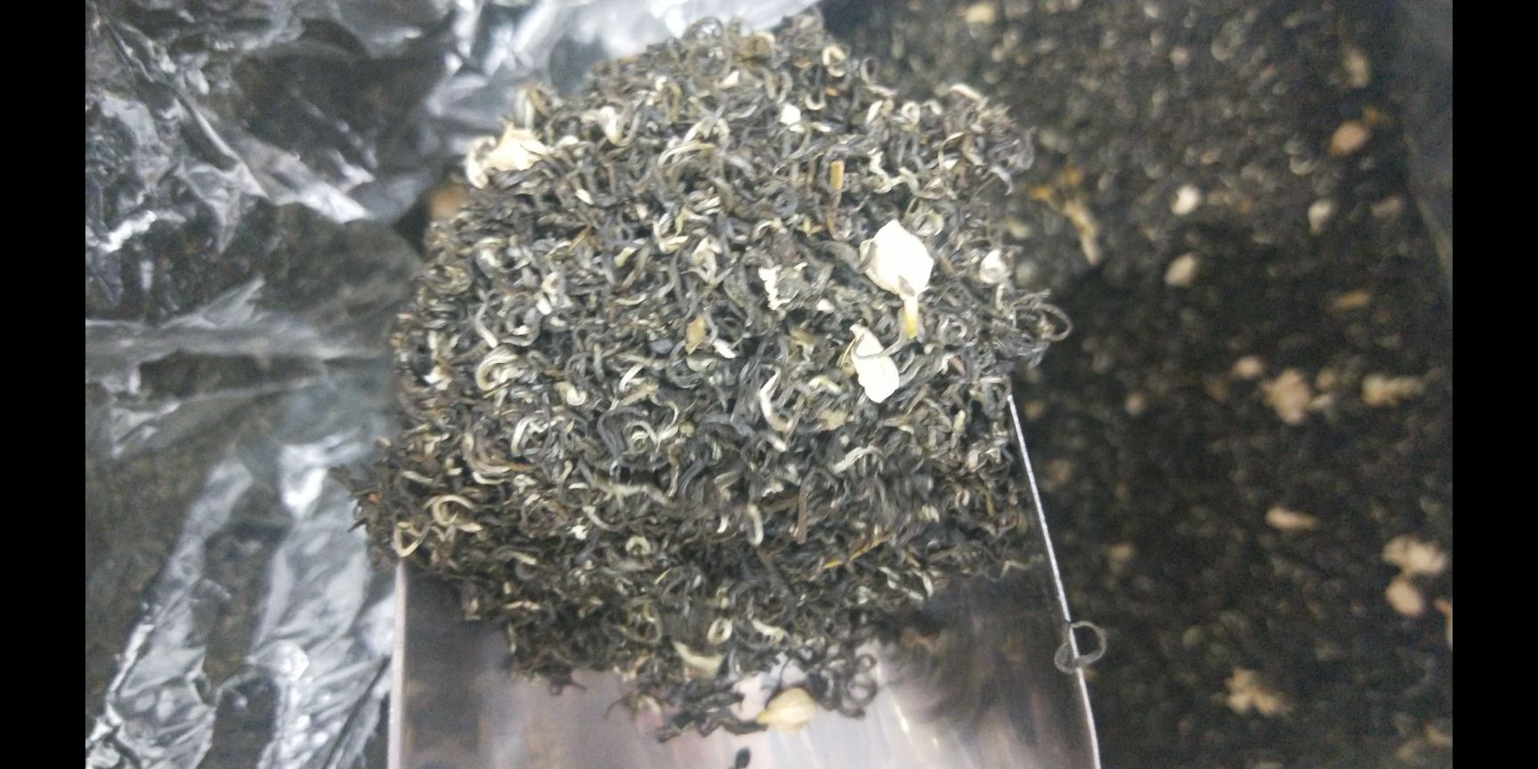 茉莉花茶 茉莉飘雪批发价