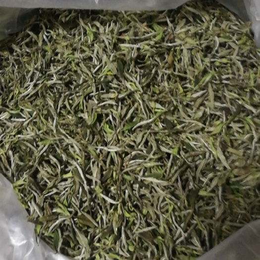 霞浦县福鼎白茶 恒温长期保存