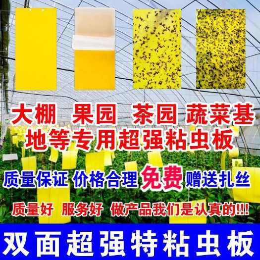 曹县防虫网  双面粘虫板黄蓝板防虫板诱虫板菜地花圃大棚用绿色无公害物理杀虫