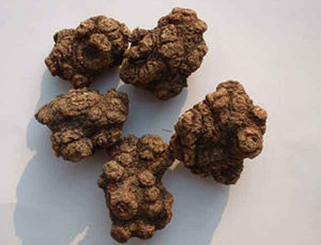 眉山四川 正品 优质干货整颗川芎