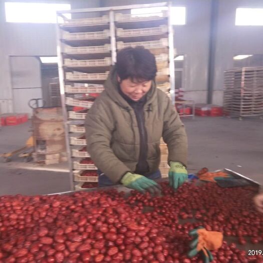 广元若羌灰枣 新疆灰枣产地直销