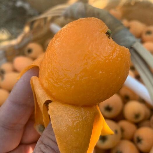 翁源县 【京东快递包装】现摘新鲜大果枇杷酸甜可口，爆汁