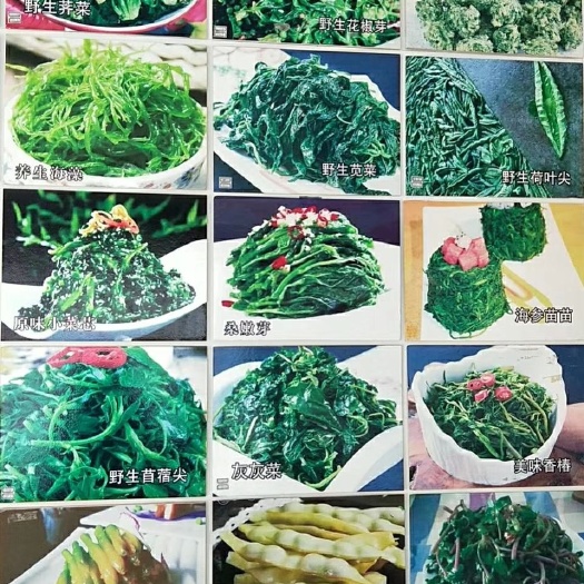 西安速冻桑叶菜 速冻野菜。营养均衡。全国包邮。质量保证。