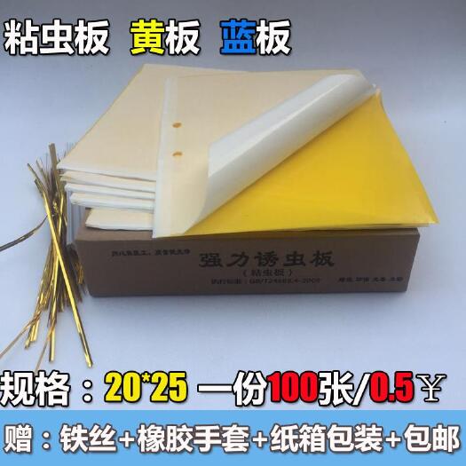 曹县诱虫板  黄板双面粘虫板诱虫蓝板纸贴黄色灭小飞虫沾果蝇粘板果园蓟马大棚