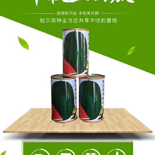 懶漢西瓜種籽