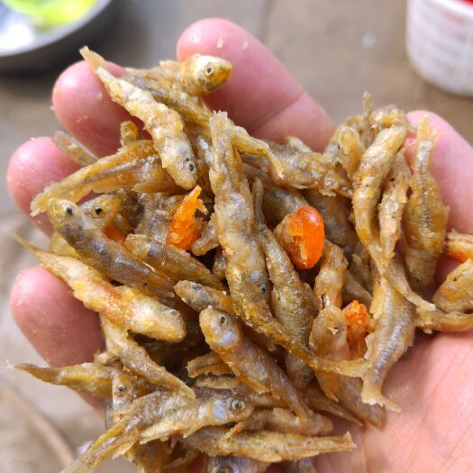 长沙县 油炸麦穗鱼嫩仔鱼小鱼（大量供应）