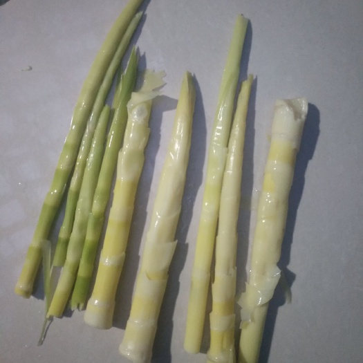 华容县野生竹笋 天然的绿色食材
