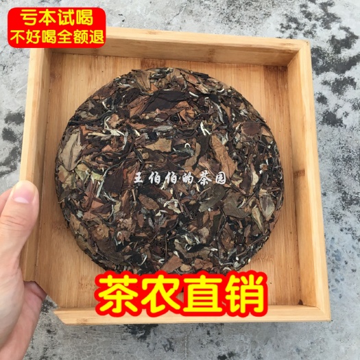 福鼎市太姥山】福鼎白茶老寿眉贡眉纯日晒白牡丹银针荒野白茶饼水甜
