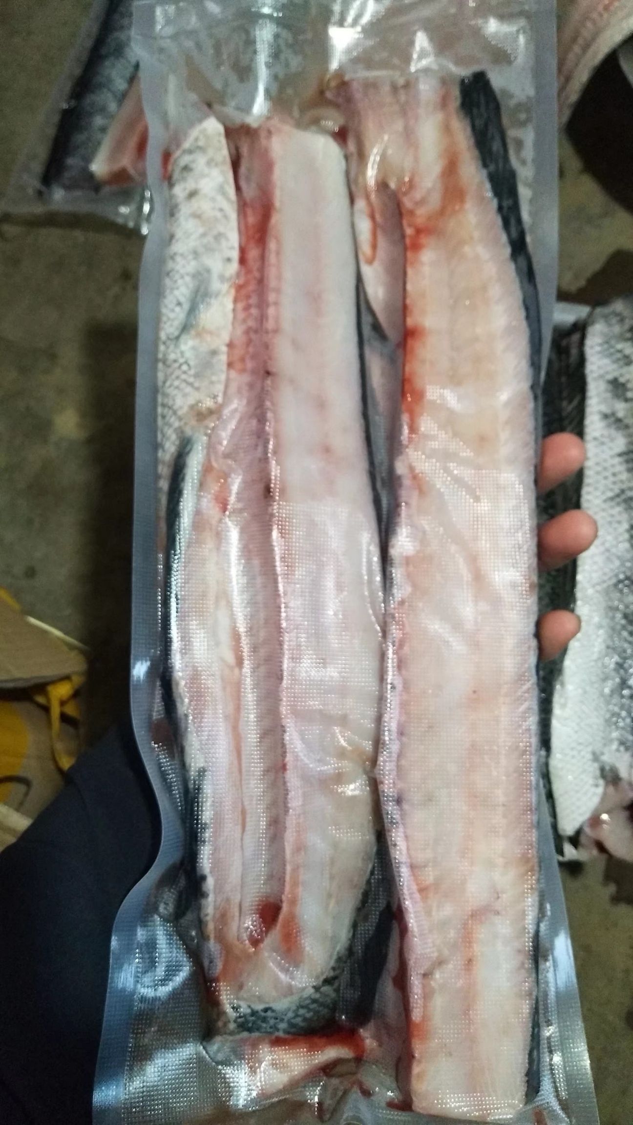冻黑鱼  黑鱼片黑鱼柳速冻