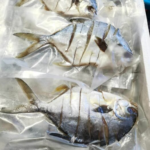 金昌魚干  淡曬金鯧魚干