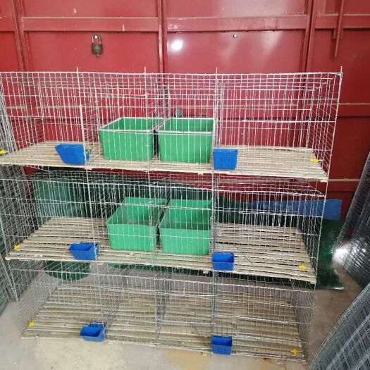  兔籠，商品兔籠，子母籠加固鋼條，質(zhì)量有保證量大優(yōu)惠