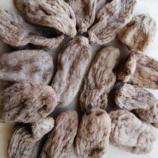 玉龙县 云南乌天麻