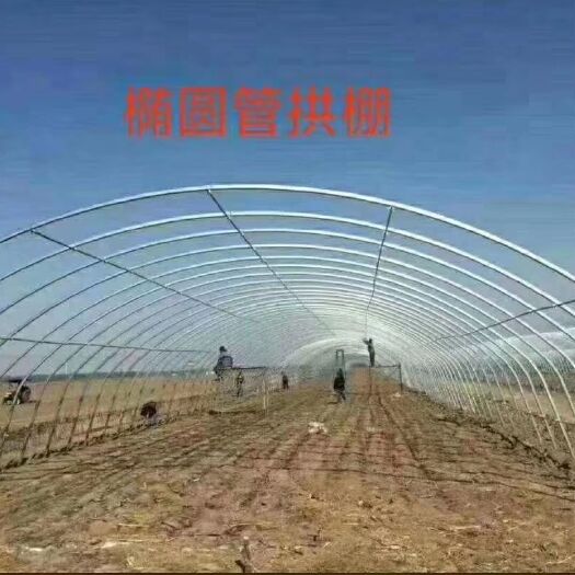 天津养殖大棚