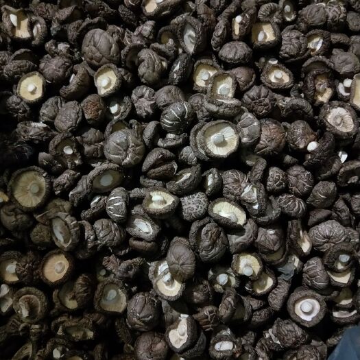 灵宝市香菇808 新货   农家自产