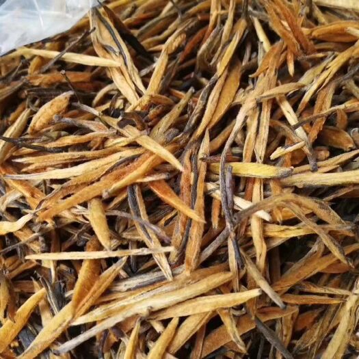 云南滇红 大量批发零售大金芽大金针