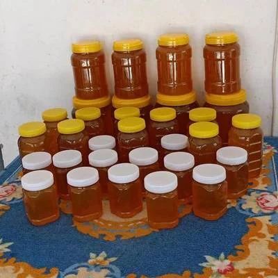 广宗县 邢台批量供货 天然蜂蜜