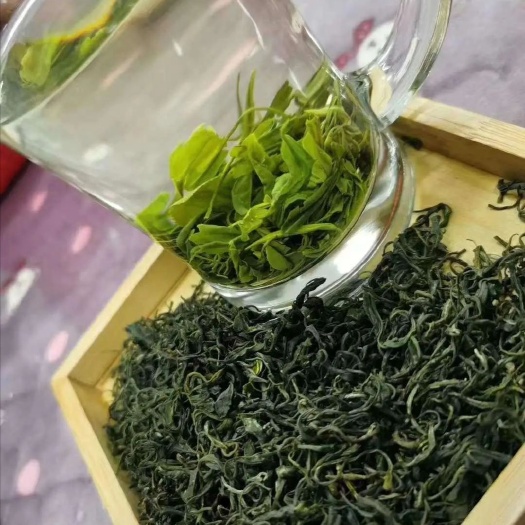 湄潭县竹叶青茶 毛峰