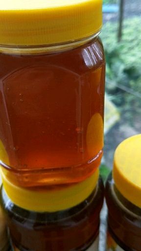重庆市 天然土蜂蜜