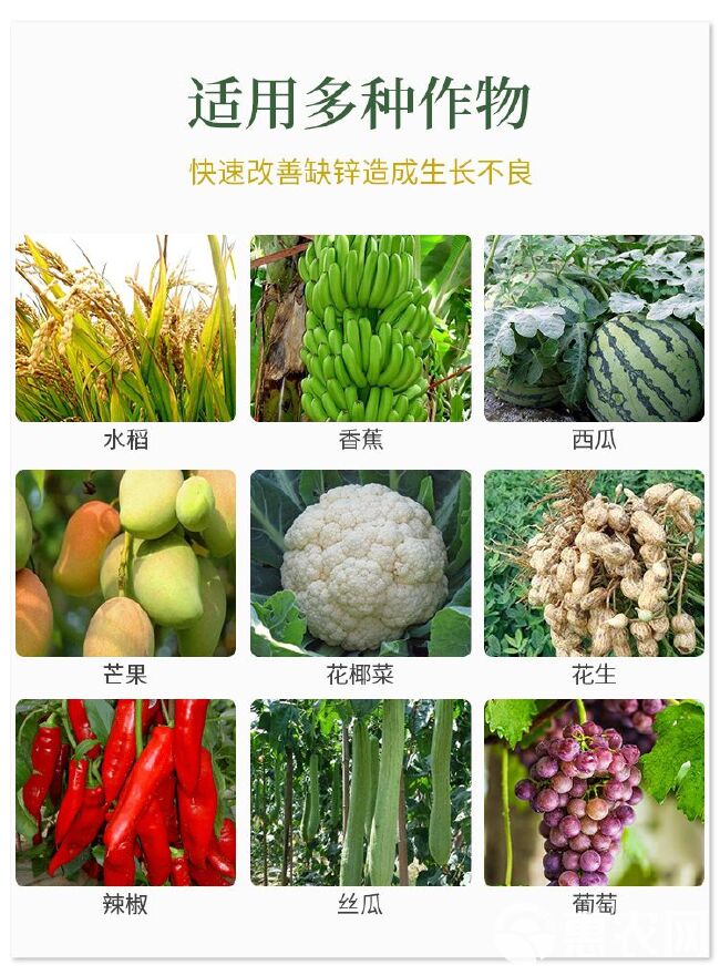 锌肥智能锌叶面肥蔬菜花卉瓜果中药材等快速补锌小叶黄叶植株矮小