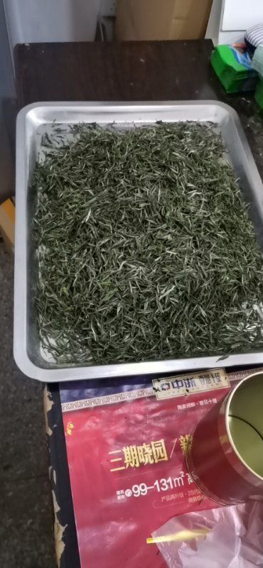 麻城市 高山有机绿茶