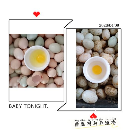 安义县土鸡蛋 农家散养