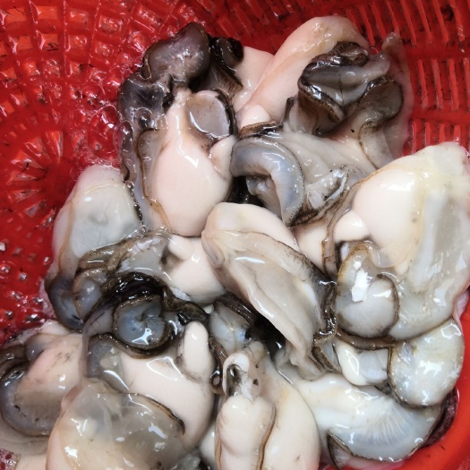 饶平县 现剥鲜活带壳生蚝肉，海水产品牡蛎肉 生蚝肉 海蛎子肉 汫洲