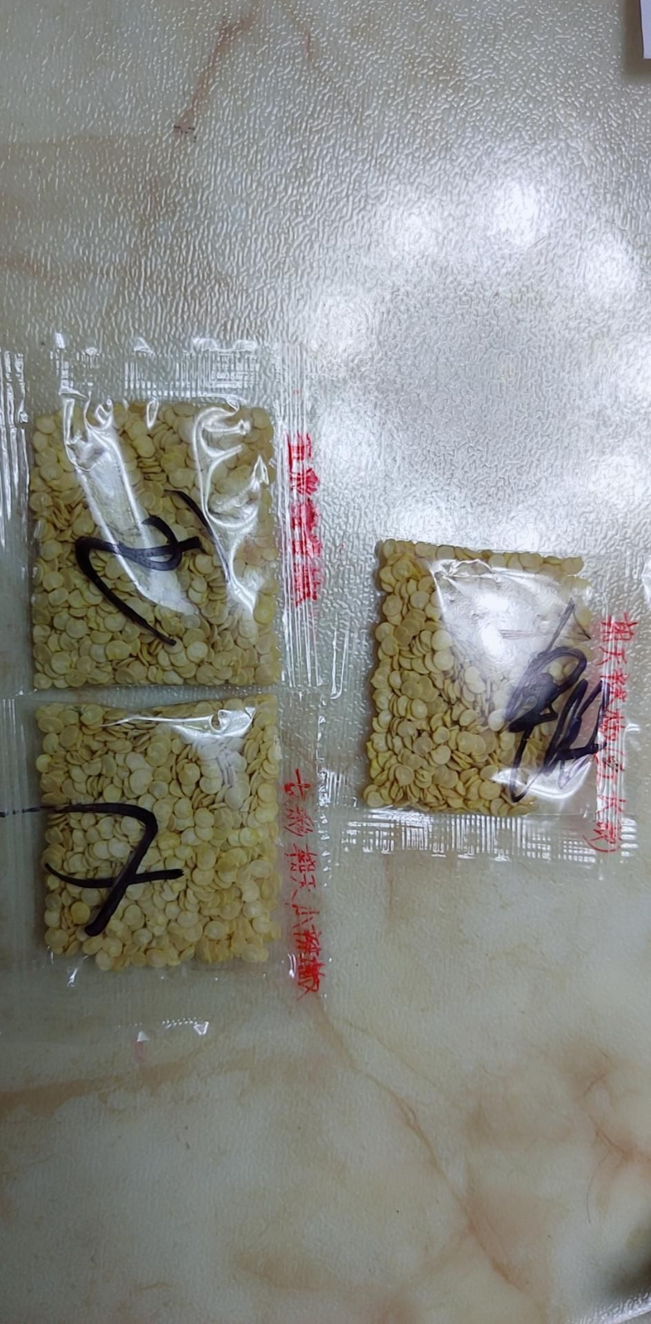  七彩辣椒种子五彩椒种籽孑农家蔬菜阳台盆栽田园种植种子四季播种
