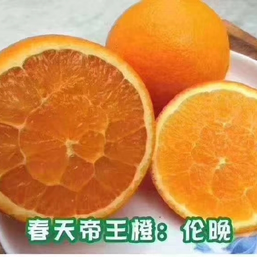 秭归县晚橙 正品伦晚