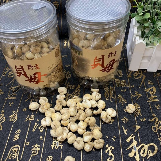 抚松县川贝母  长白山川贝，包邮出，自然生长在山上的贝母，产