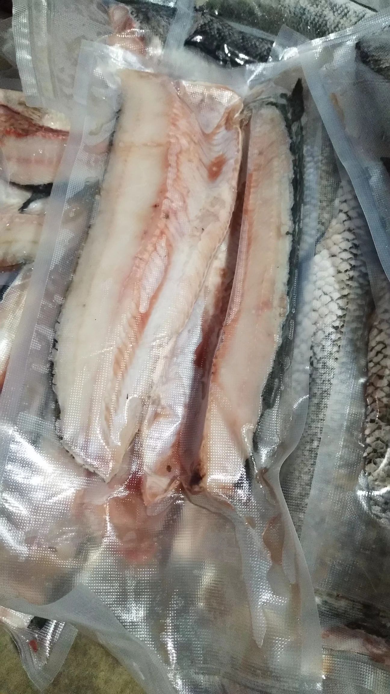 冻黑鱼  黑鱼片黑鱼柳速冻