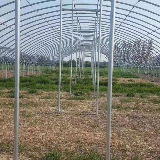 天津养殖大棚骨架 温室大棚 冷棚 西瓜棚 蔬菜大棚 各种规格齐全 厂家直销