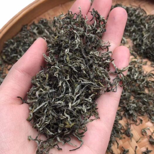 石门县 毛尖炒青绿茶大量上市