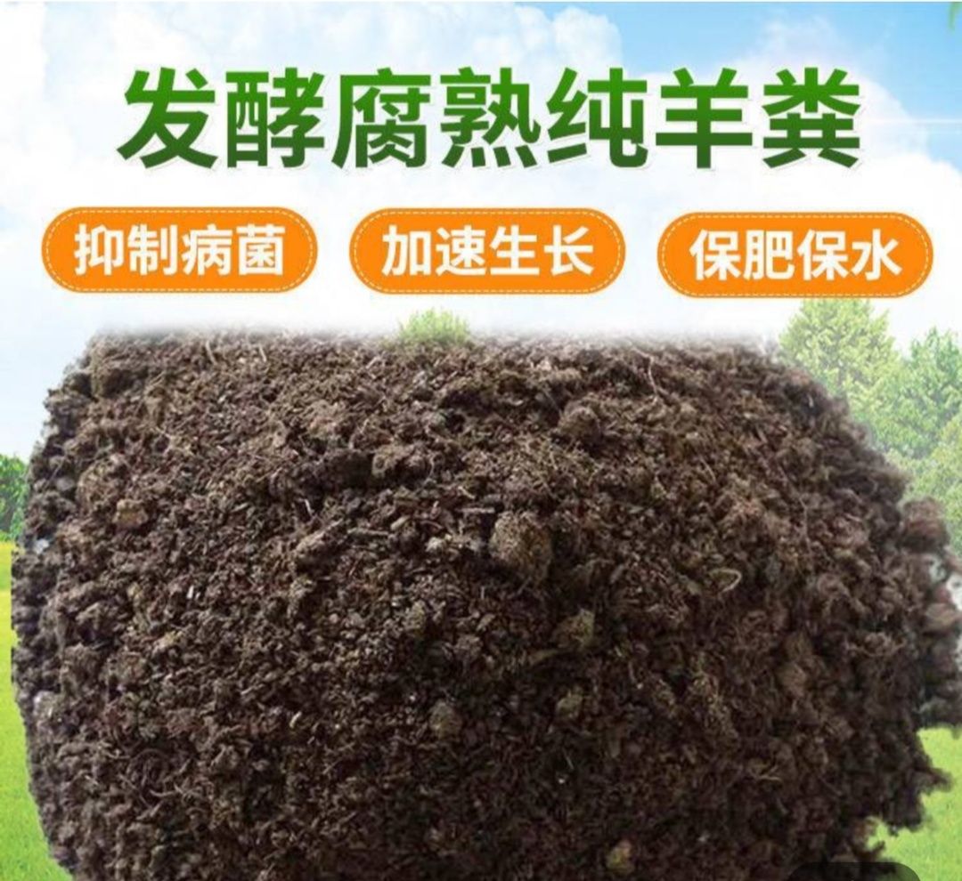 【发酵羊粪 】羊粪 发酵羊粪 发酵羊粪 量大从优