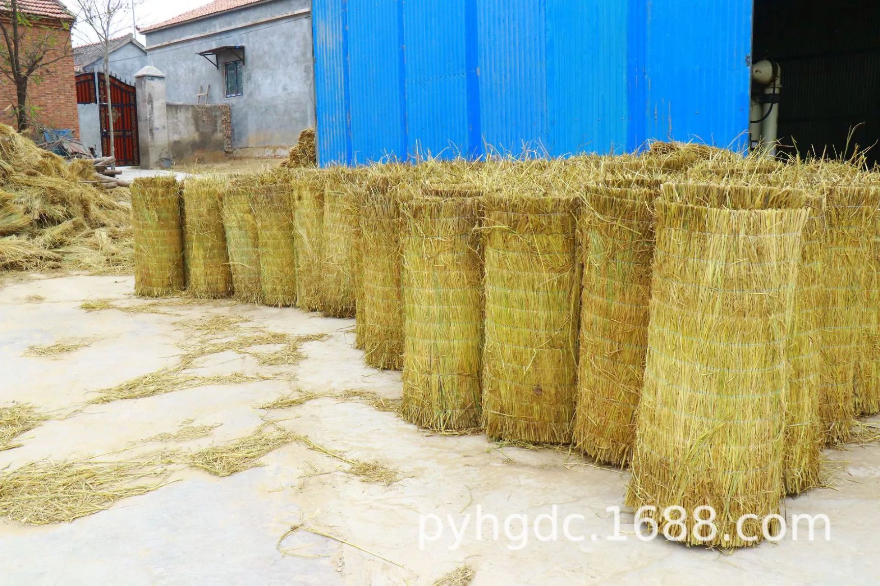 濮阳县草苫子 合作社常年销售各种规格草帘、草苫、草绳，草袋。量大从优，