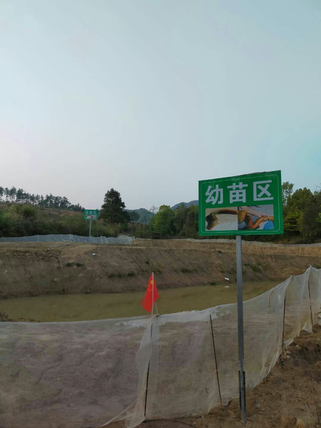黄鳝苗  ，抗病力强，成活率高，生长速度快
