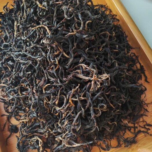 思茅云南滇红 老树晒红