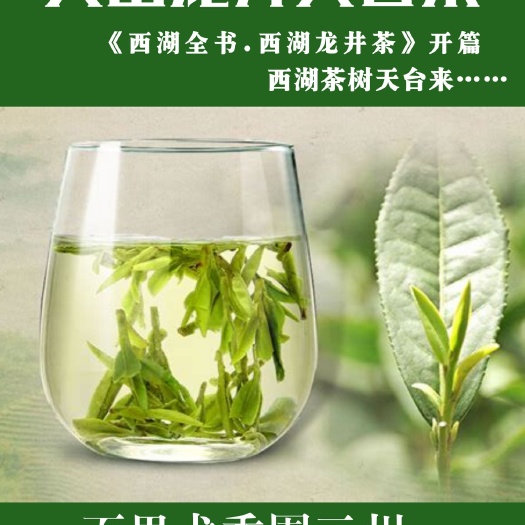 天台县龙井茶 三州乡高山龙井，无污染，火山土壤，品质保证