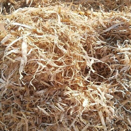 龙江县 玉米秸秆饲料