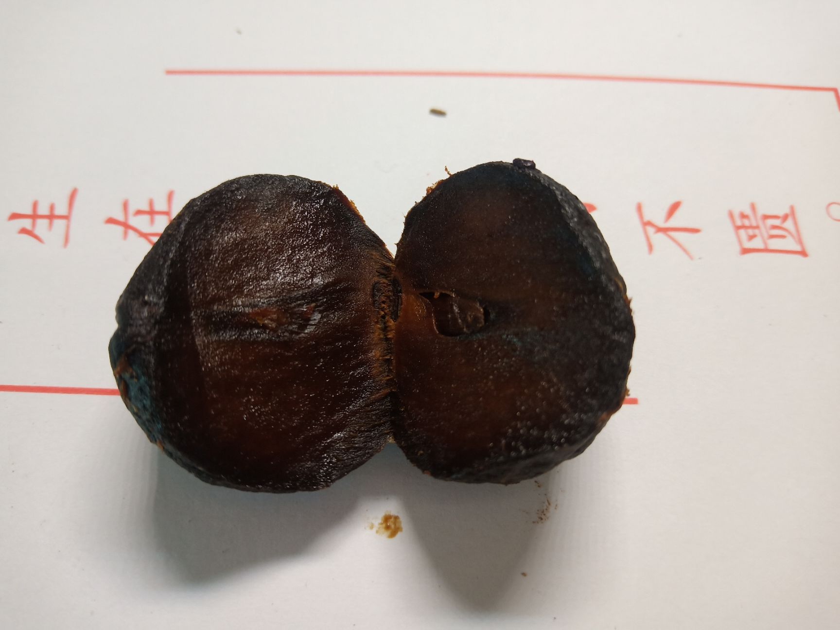  正宗独头黑蒜纯绿色食品老少皆宜营养健康食品