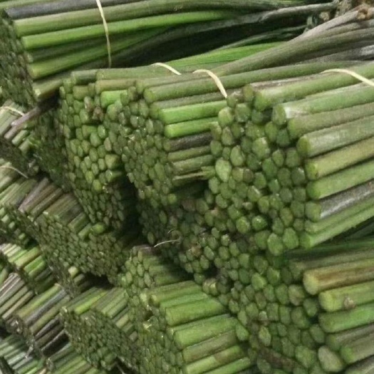 昆明野生蕨菜  天然野 生新鲜蕨菜新鲜大量批发