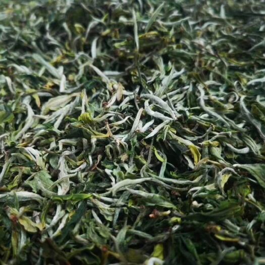  云南绿茶