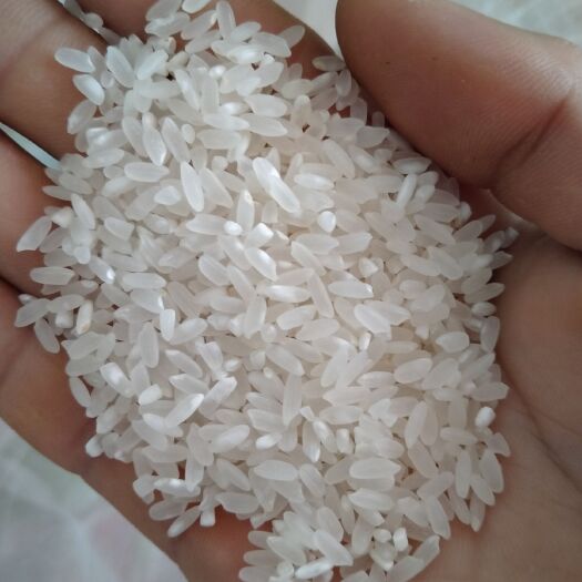 磐石市 《稻花香大米》东北大米，农户种植产地直销