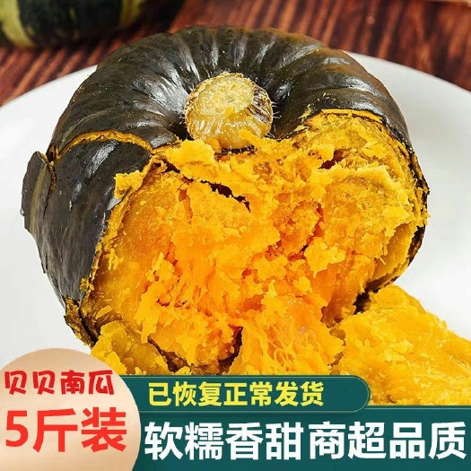贝贝南瓜板栗小南瓜味甜新鲜蔬菜日本引进种源老南瓜非板粟宝宝辅
