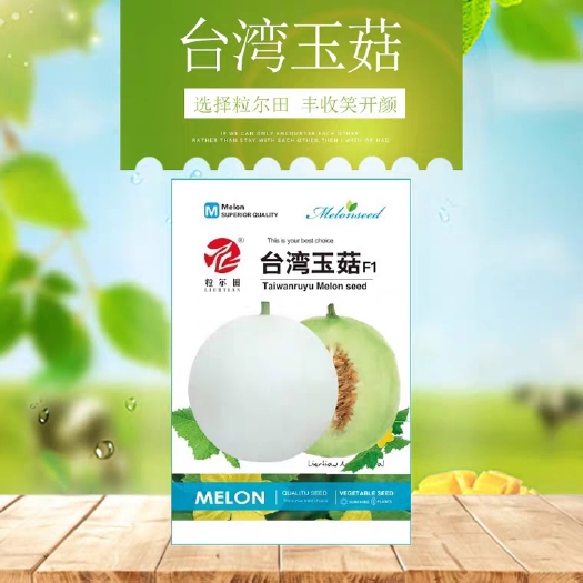 郑州玉菇玉姑甜瓜种子
