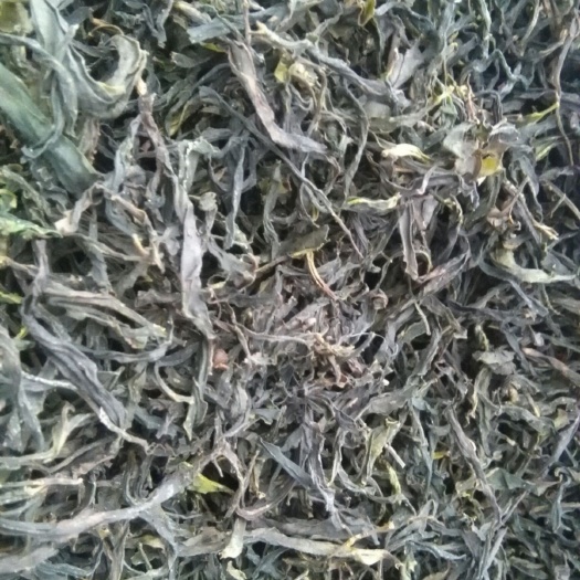 潮州凤凰单枞 2020年凤凰春茶，茶农直销，无农药，，质量保证。