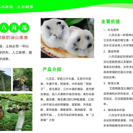 恩施市 八月瓜